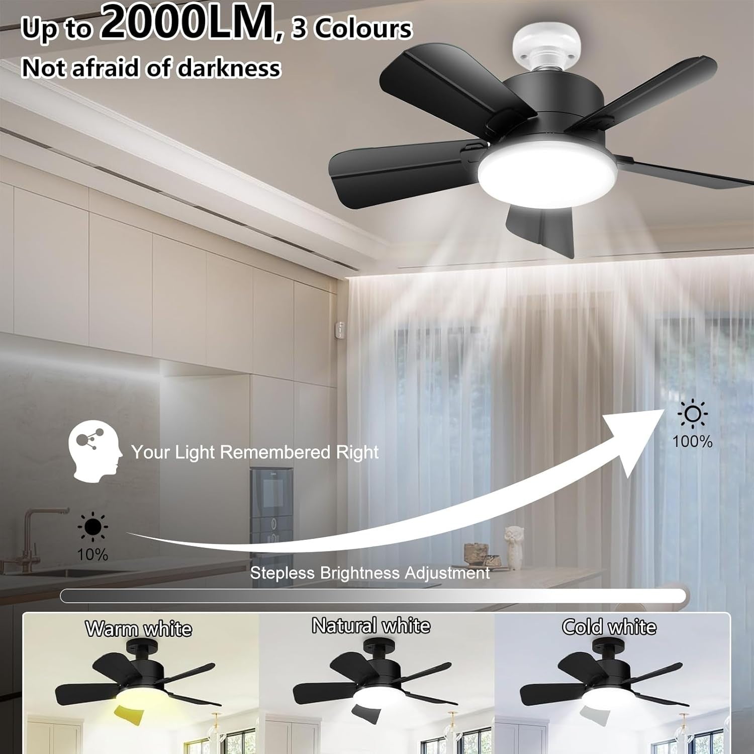 Seyxicnor Socket Ceiling Fan with Light, Remote, E27, 6-Speed, Black, LED