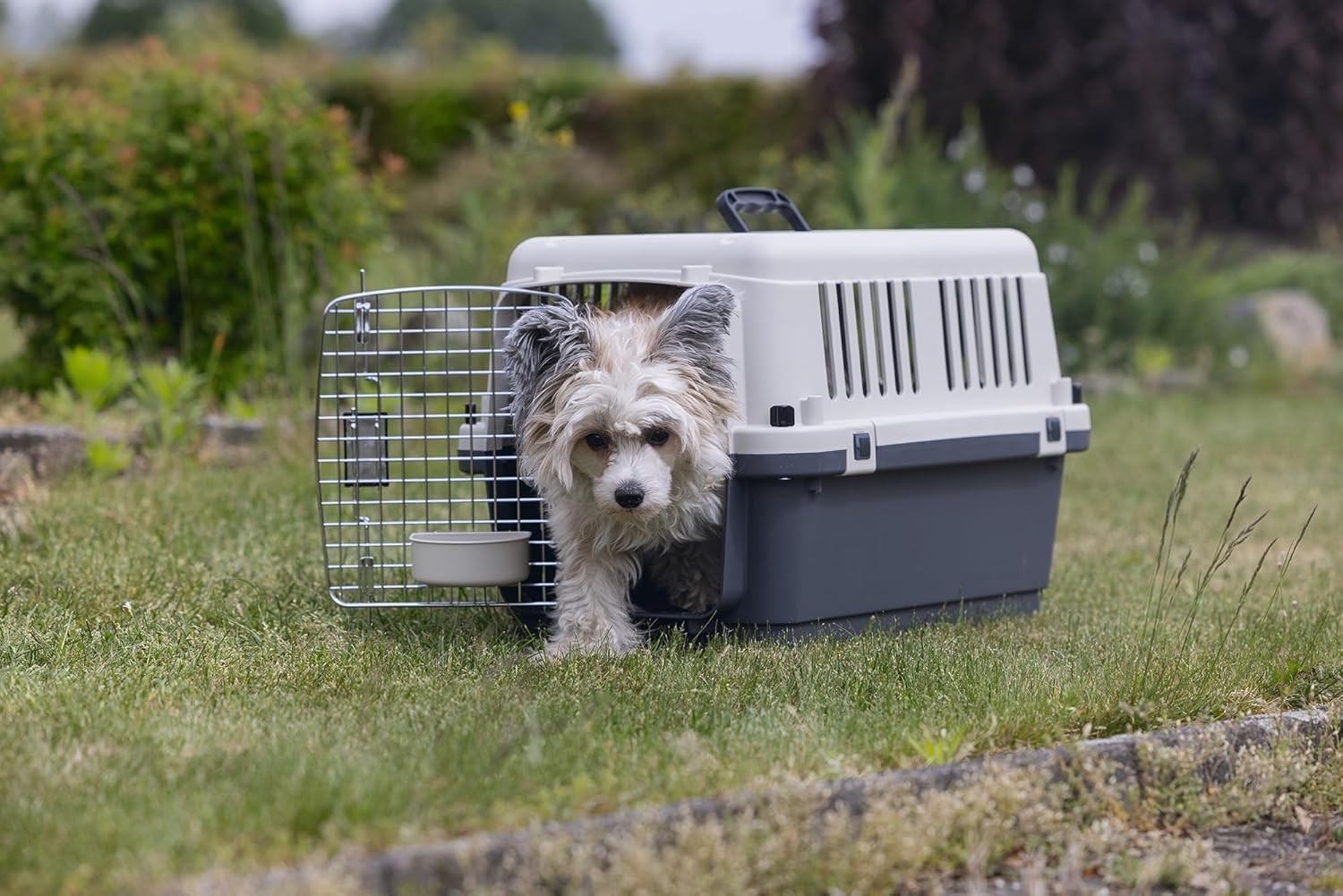 Lockable Front-Load Pet Travel Crate IATA Approved 61x40x40cm Portable
