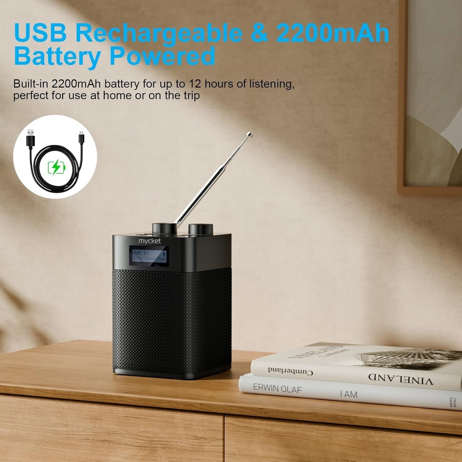 Portable DAB+ FM Radio Bluetooth USB Rechargeable 80 Preset