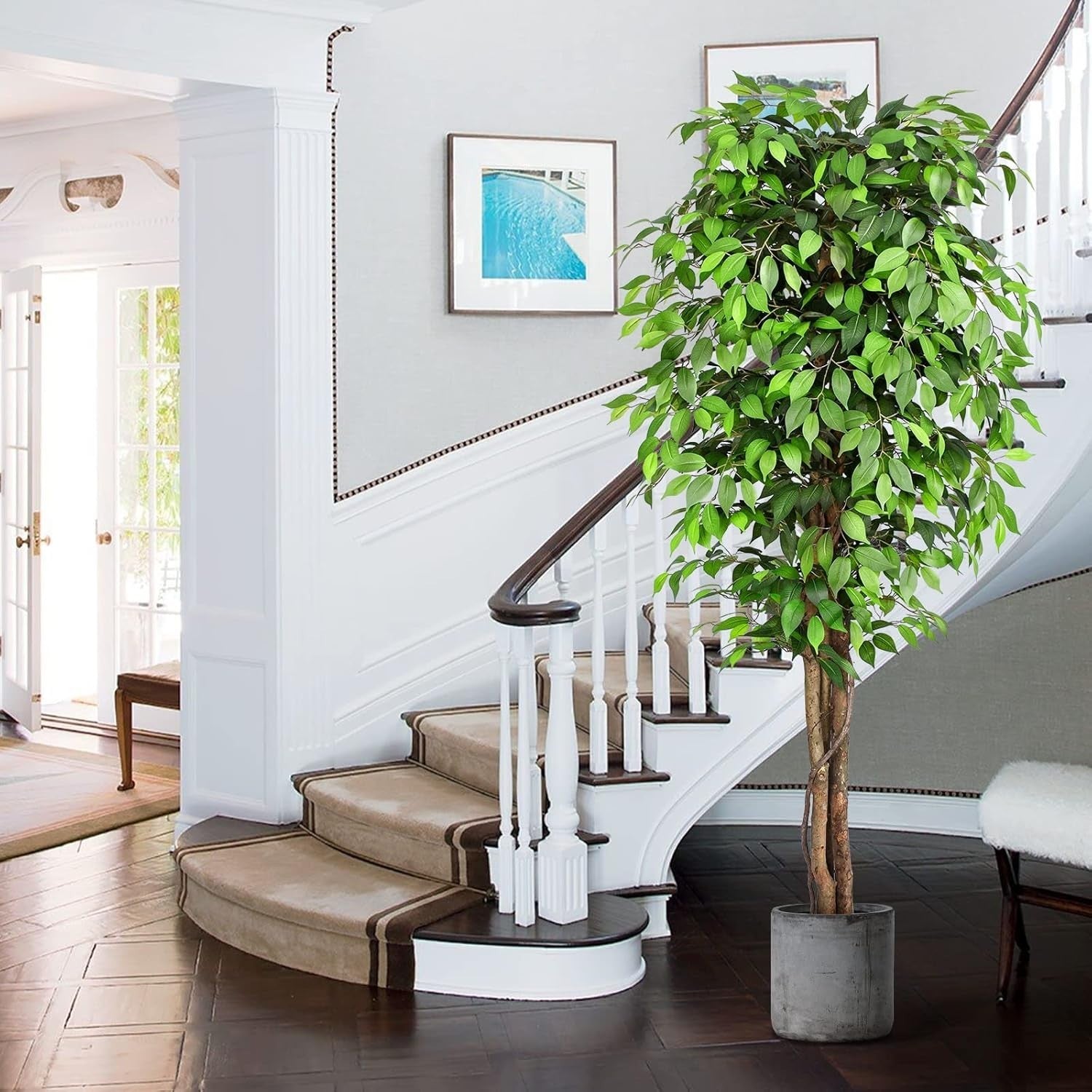 7ft Ficus Artificial Trees with Realistic Curved Trunks Indoor Plant Set of 2