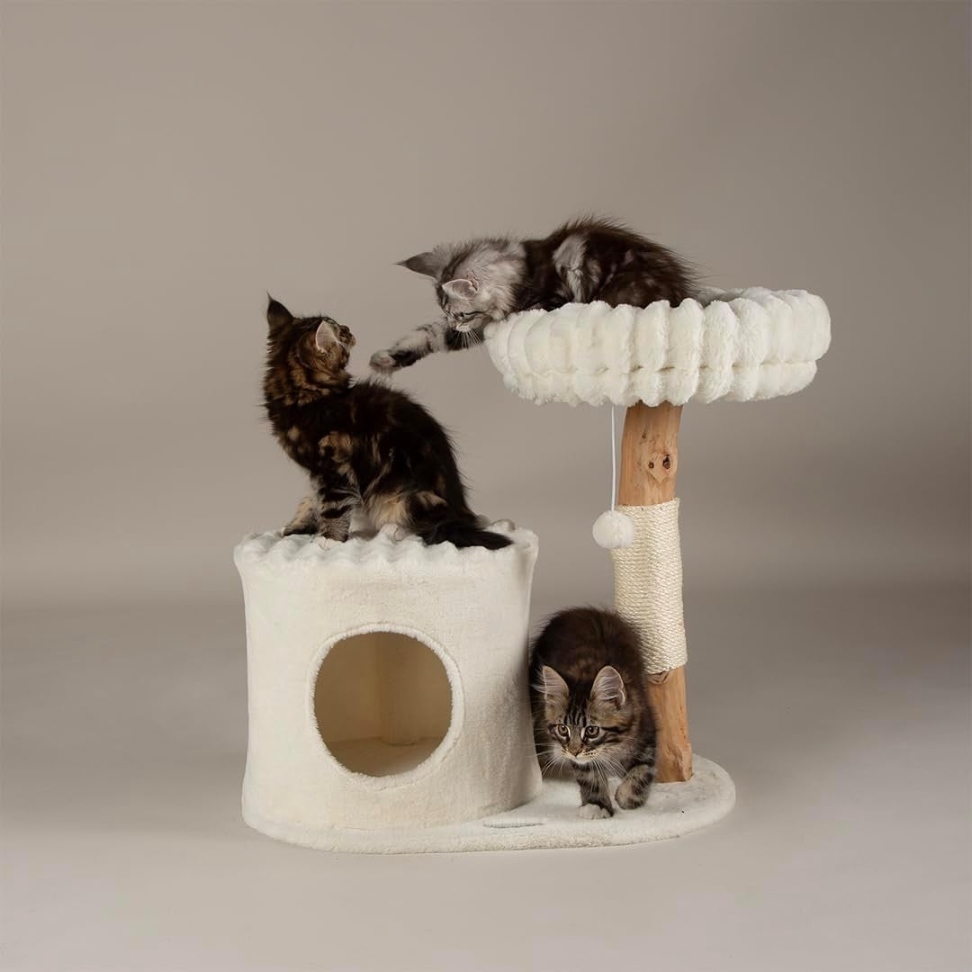 Cat Scratching Tree with Condo Perch Plush Bed Natural Wood Indoor Tower