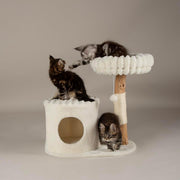 Cat Scratching Tree with Condo Perch Plush Bed Natural Wood Indoor Tower