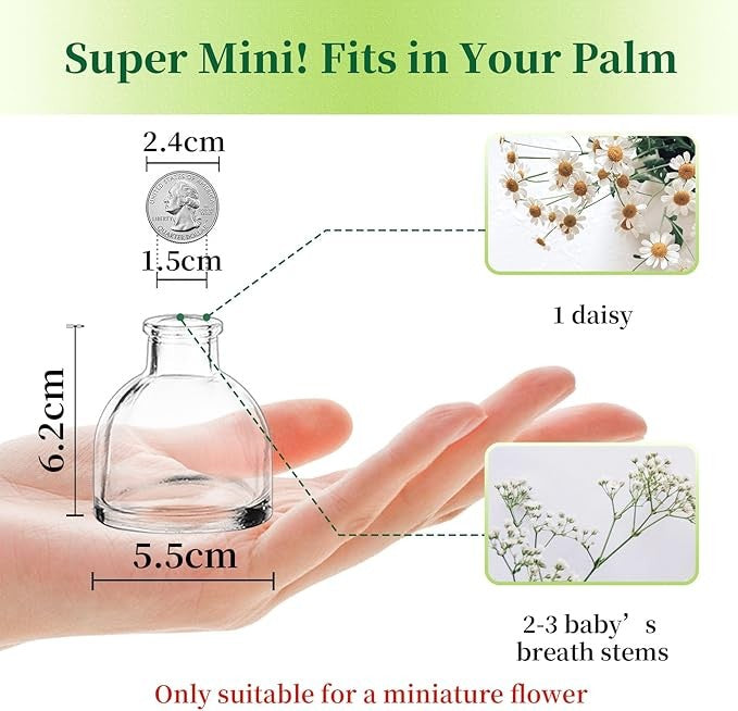 20 Mini Glass Bud Vases Set Clear Wedding Table Decor Centerpieces