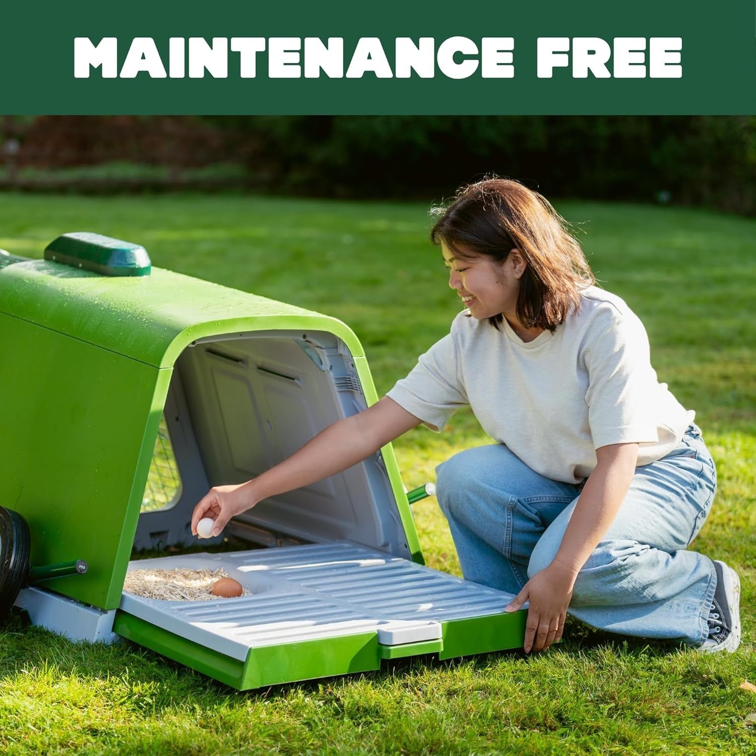 Plastic Chicken Coop House Lockable Easy Clean 3 Hens
