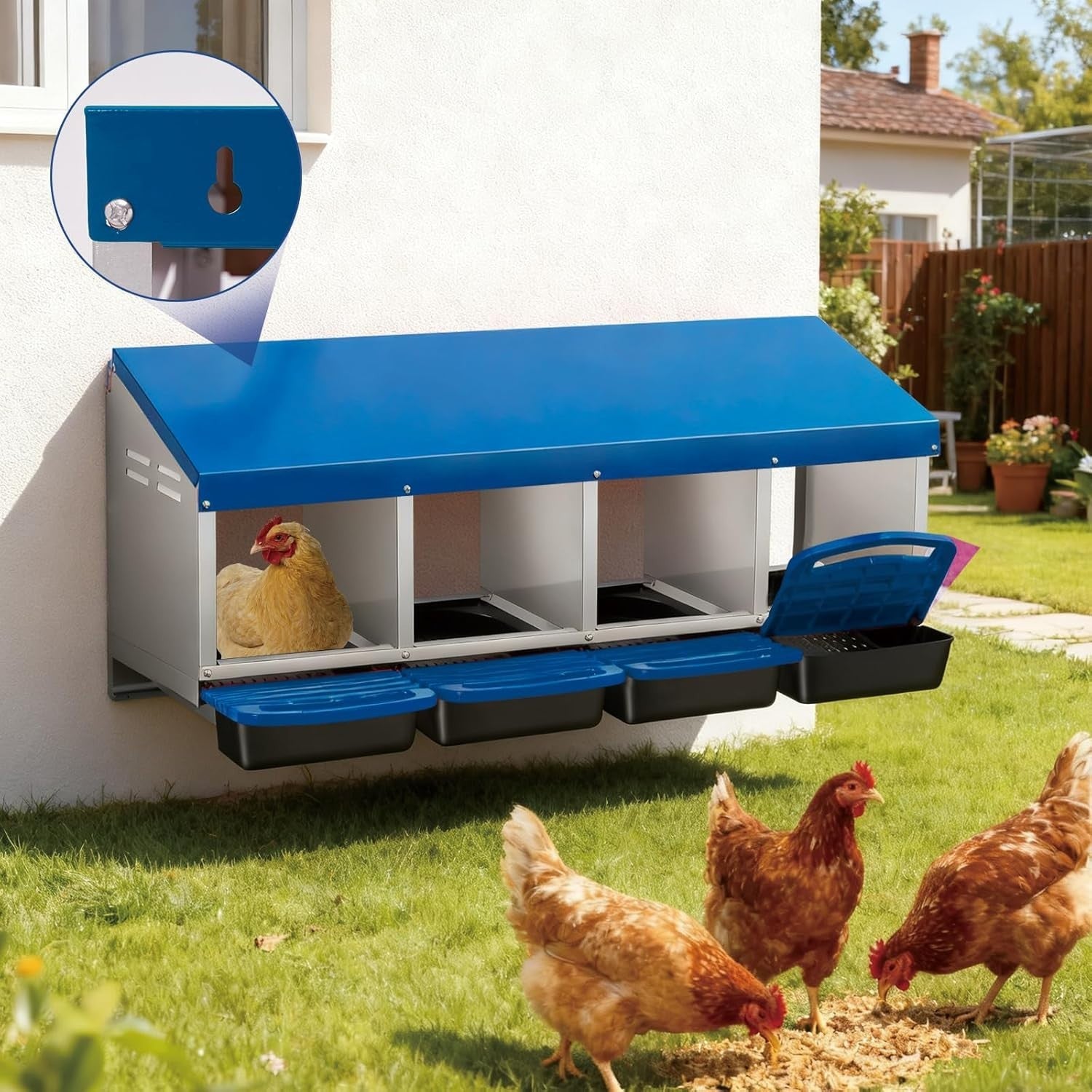 4 Chamber Galvanised Steel Chicken Nest Box Pull Out Tray Blue
