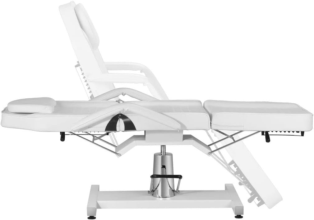 Hydraulic Adjustable Beauty Massage Bed Reclining Salon Tattoo Therapy Chair
