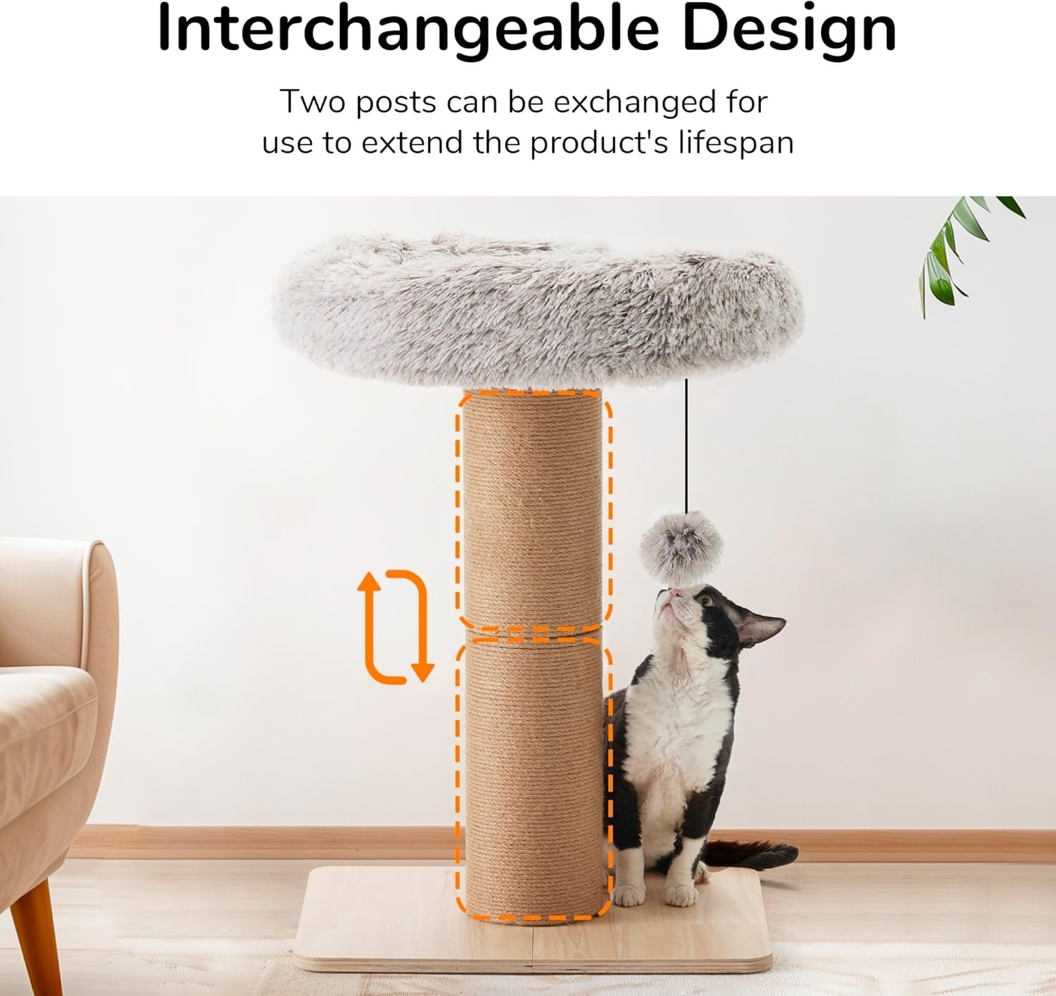 Cat Scratching Post With Plush Bed Solid Wood Jute Rope Indoor Cats