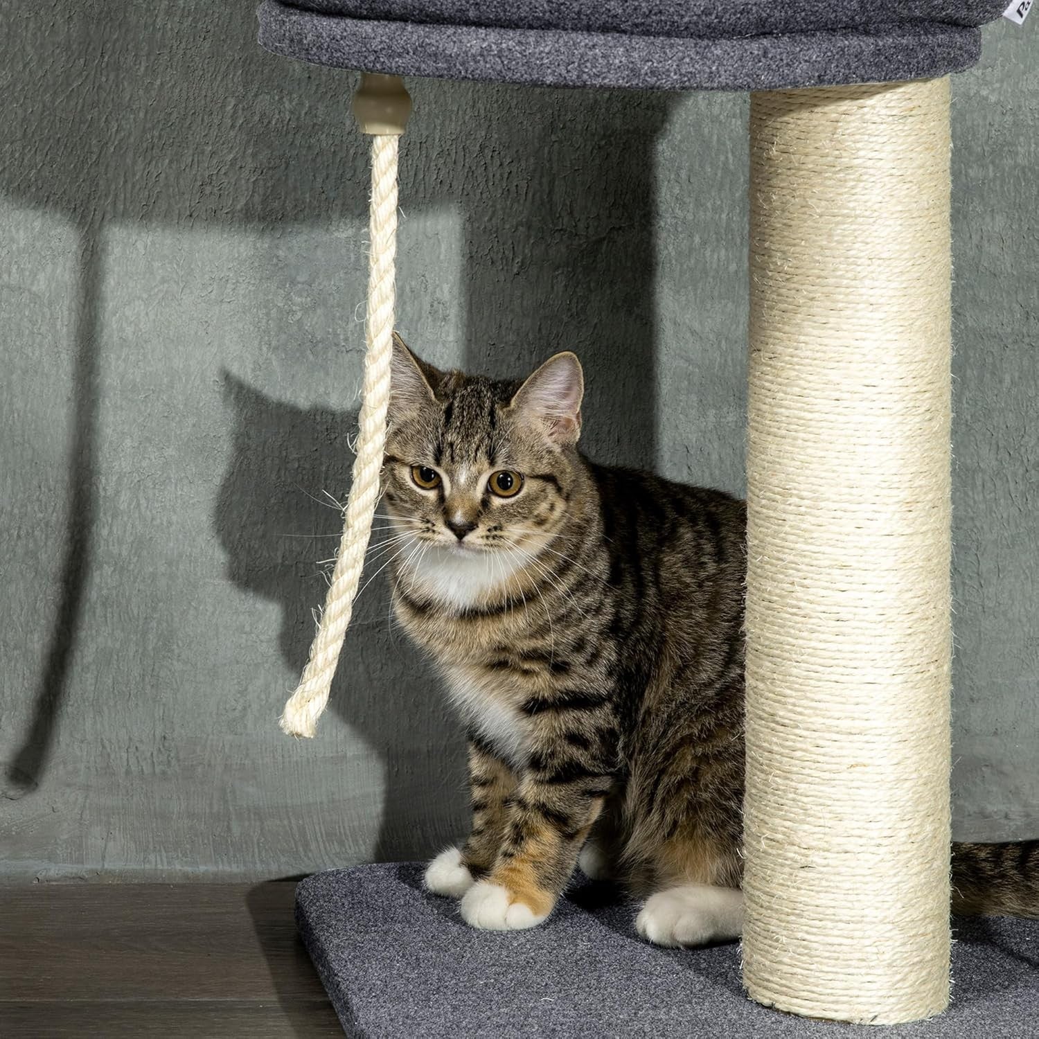 Floor to Ceiling Cat Tree 5 Tier Adjustable Climbing Tower with Hammock
