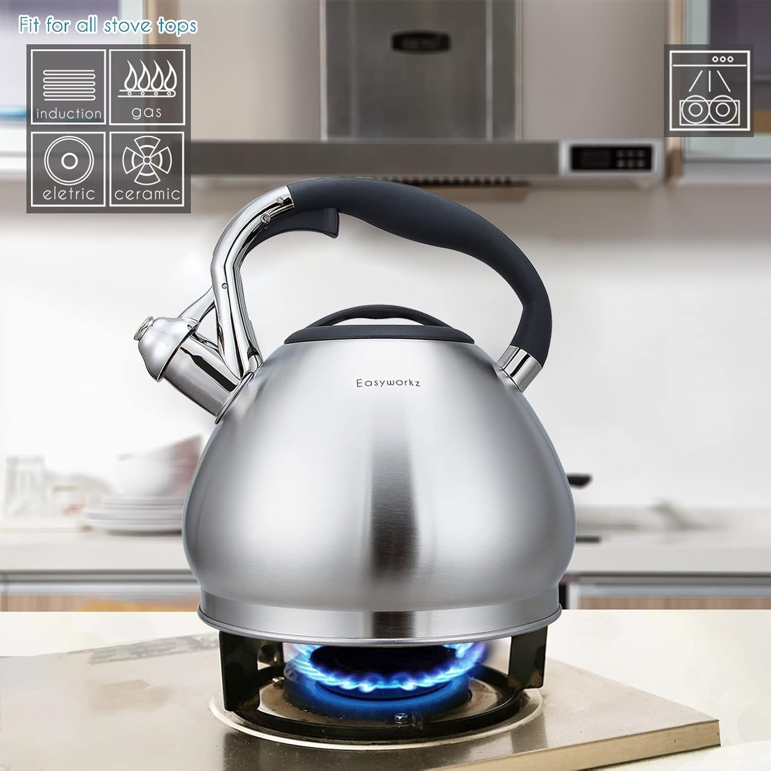 3L Stainless Steel Whistling Tea Kettle Stovetop Induction Safe Pot