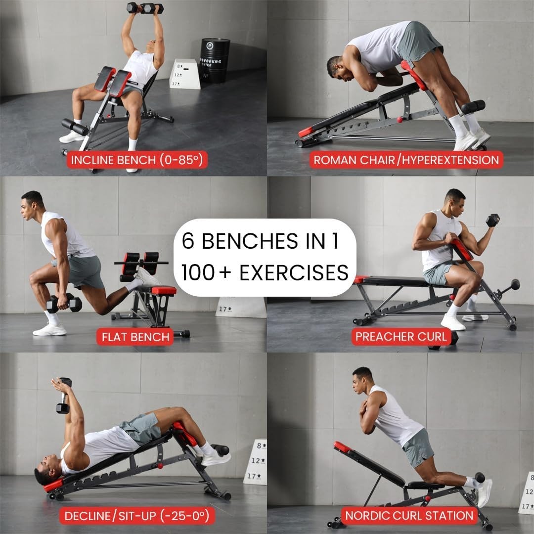 Multi-Functional FID Gym Bench Roman Chair Hyperextension Home Workout