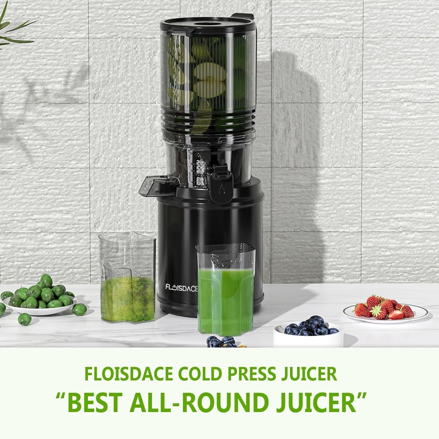 Cold Press Juicer 6.5in Feed Chute Whole Fruit Hands Free Easy Clean