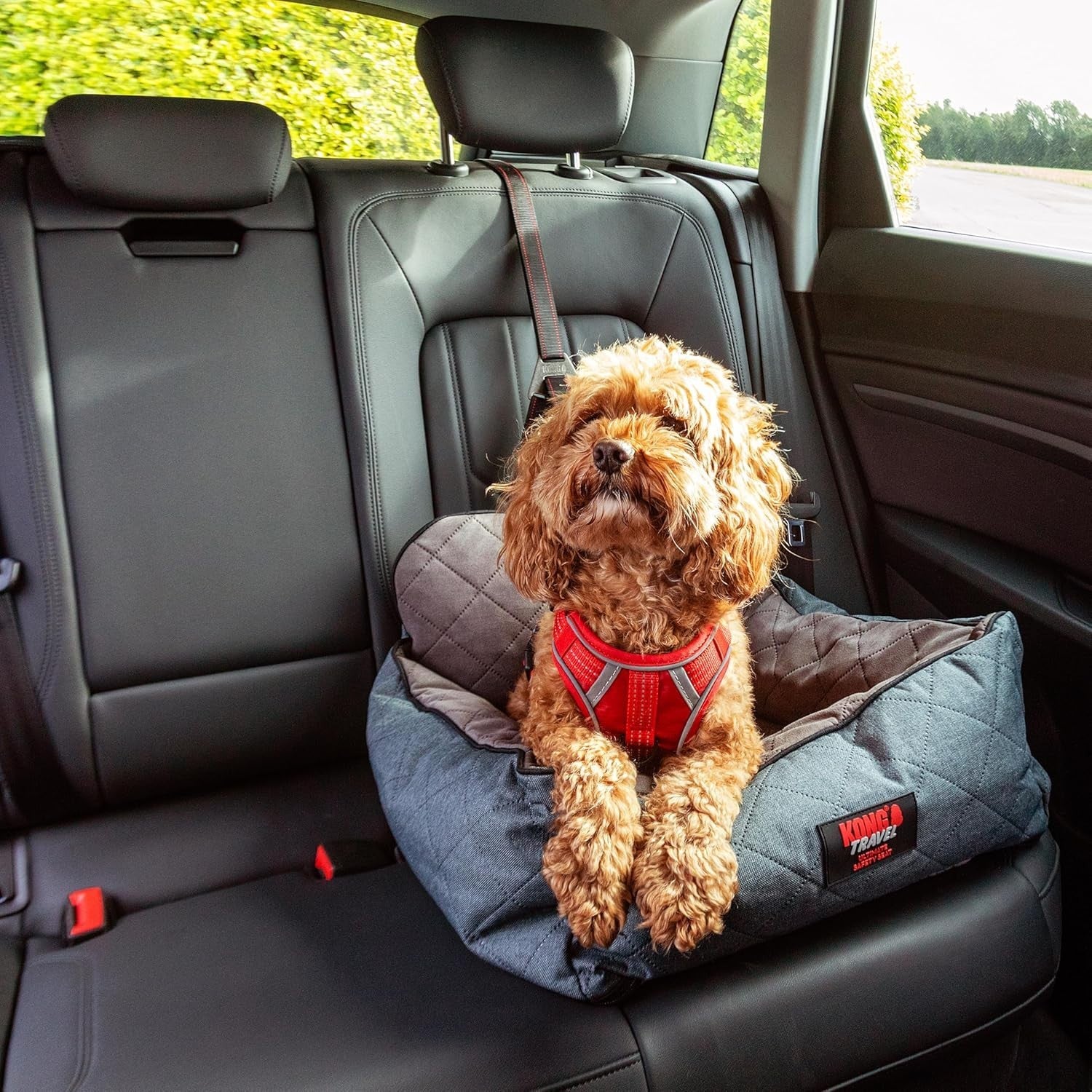 Dog Car Seat Safety Tether Booster Bed ISOFIX Travel Seat 11kg