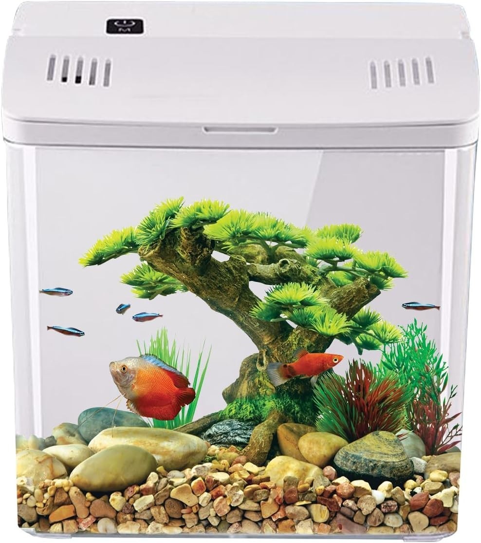 Nano Betta Fish Tank with Filter | Small Desktop Aquarium for Office & Home