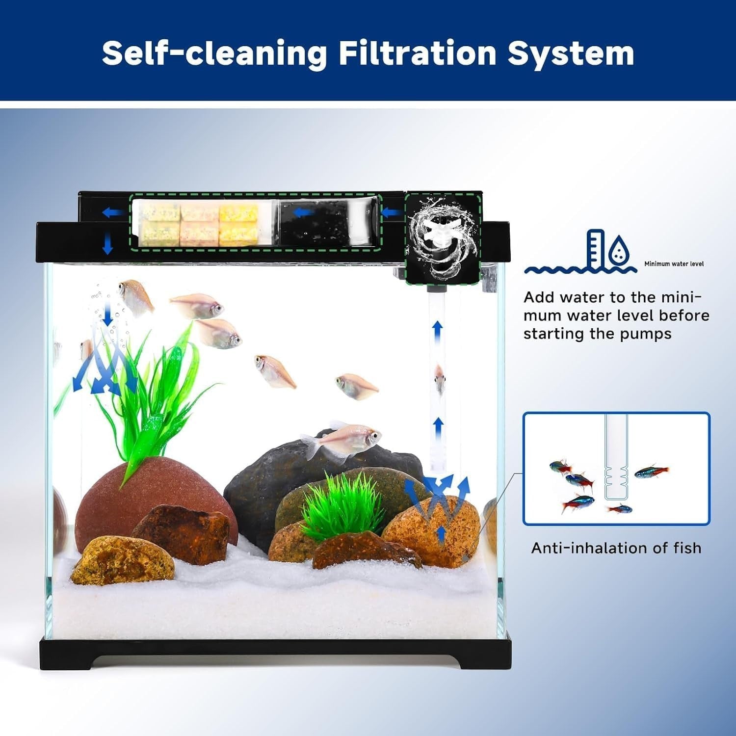 9L Small Glass Fish Tank with Dual Filtration & 4-Color LED Light