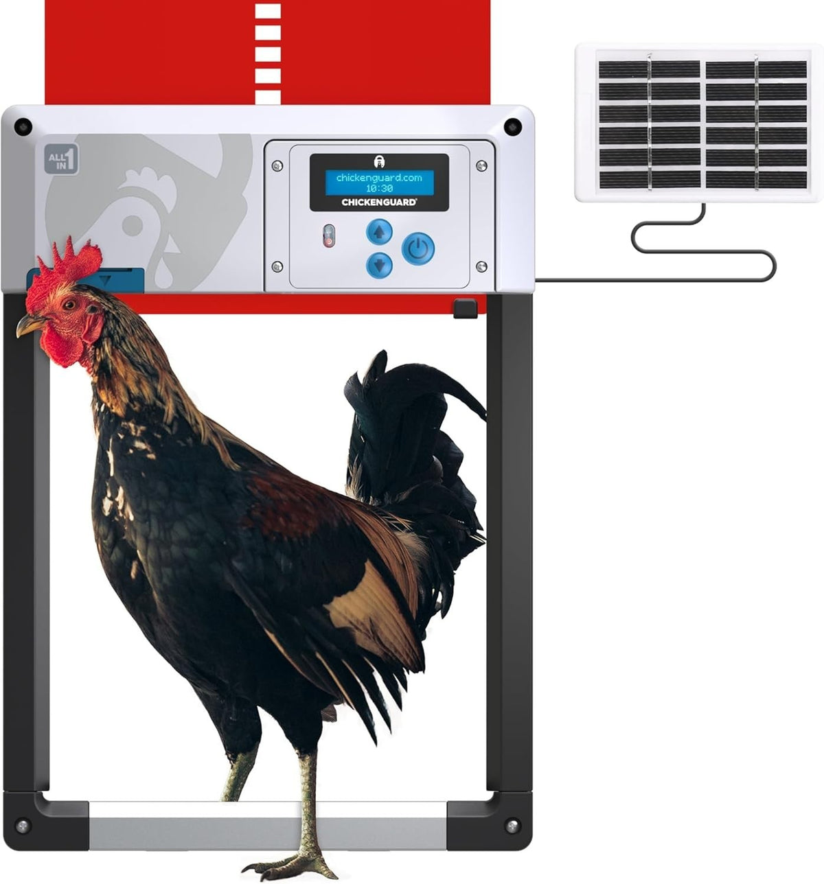 Automatic Chicken Coop Door Opener Red Solar Timer Light Sensor Winter Mode