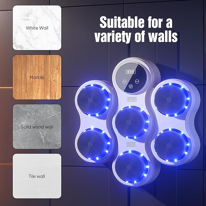 Wall Mounted Music Boxing Trainer Bluetooth LED Punch Target Home Gym