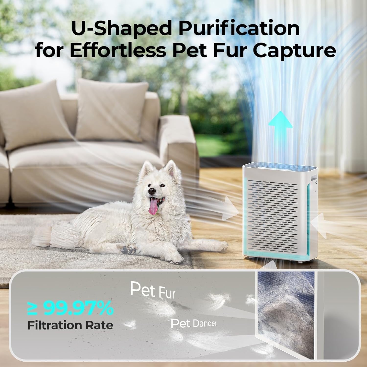 HEPA Air Purifier Large Room Auto Mode Quiet Sleep Allergy Pet