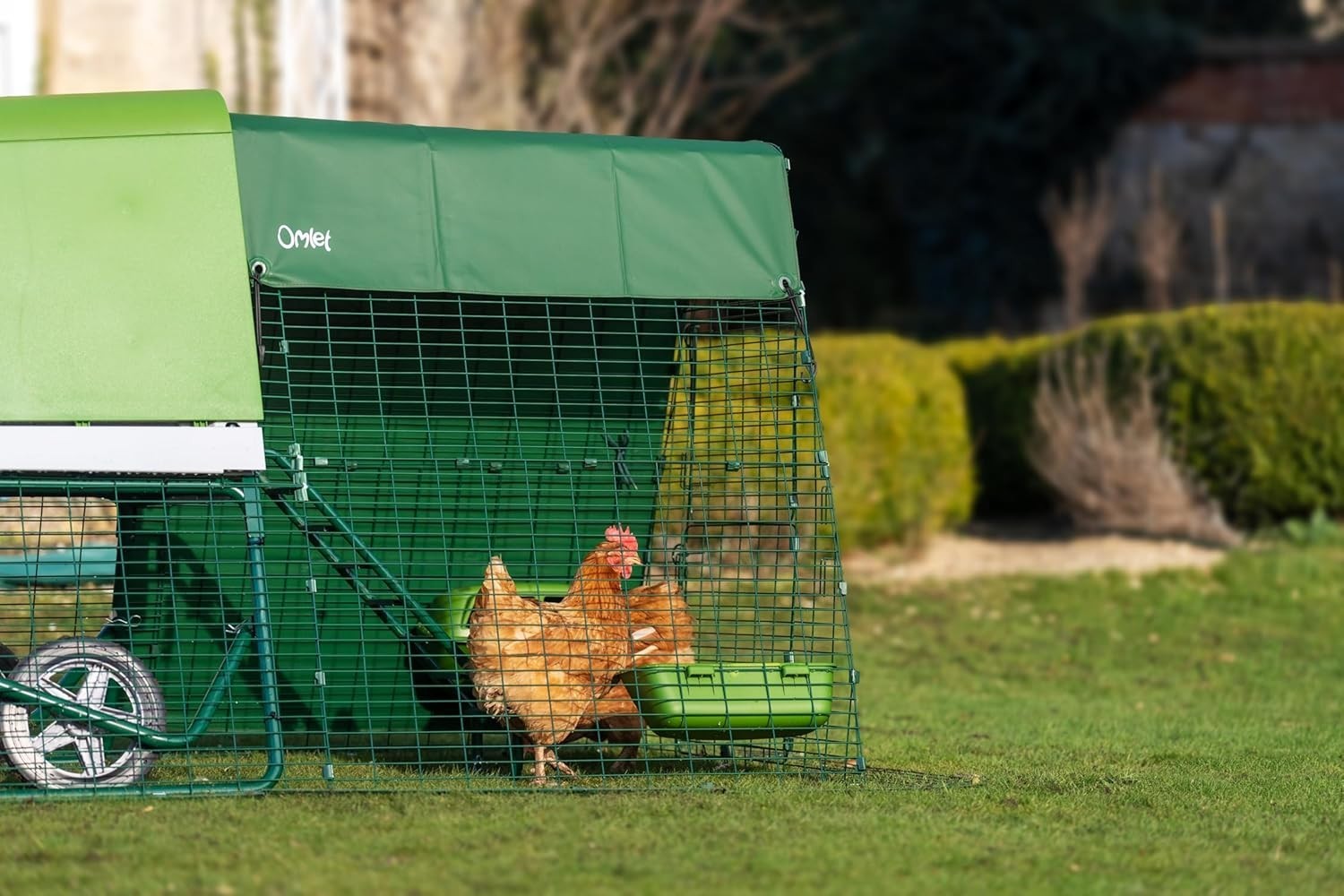 Raised Plastic Chicken Coop with 2m Run Weatherproof 4 Hens
