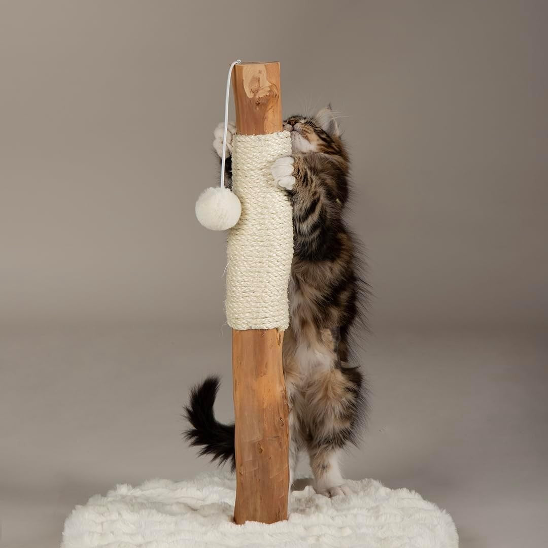 Kitten Cat Scratching Post Small Tree with Plush Base & Natural Wood Pole