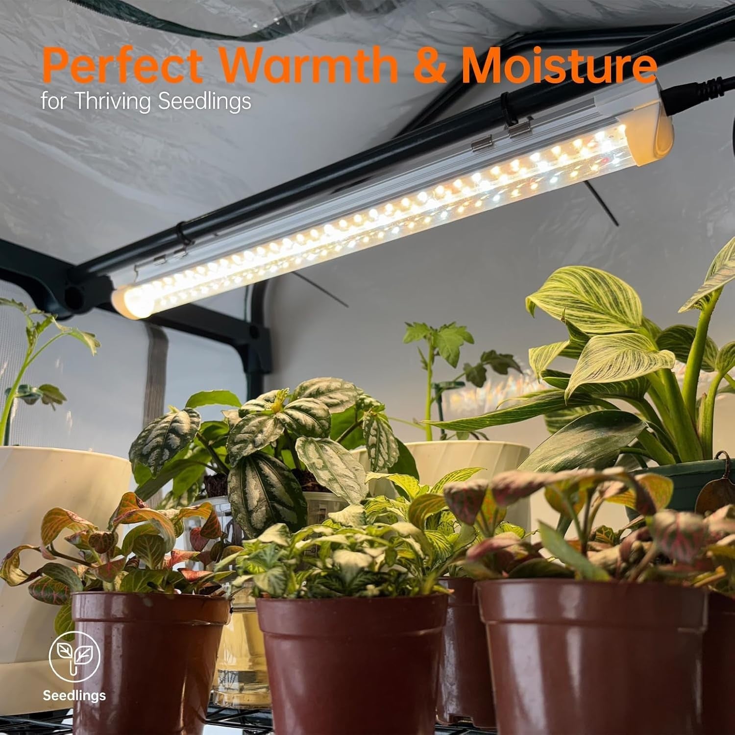 4 Tier Indoor Greenhouse with LED Grow Lights | Waterproof Base & Timer