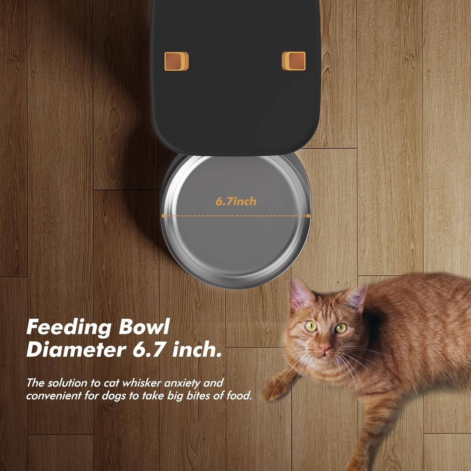 8L Automatic Cat Feeder Timed Pet Food Dispenser 1-6 Meals Voice Record