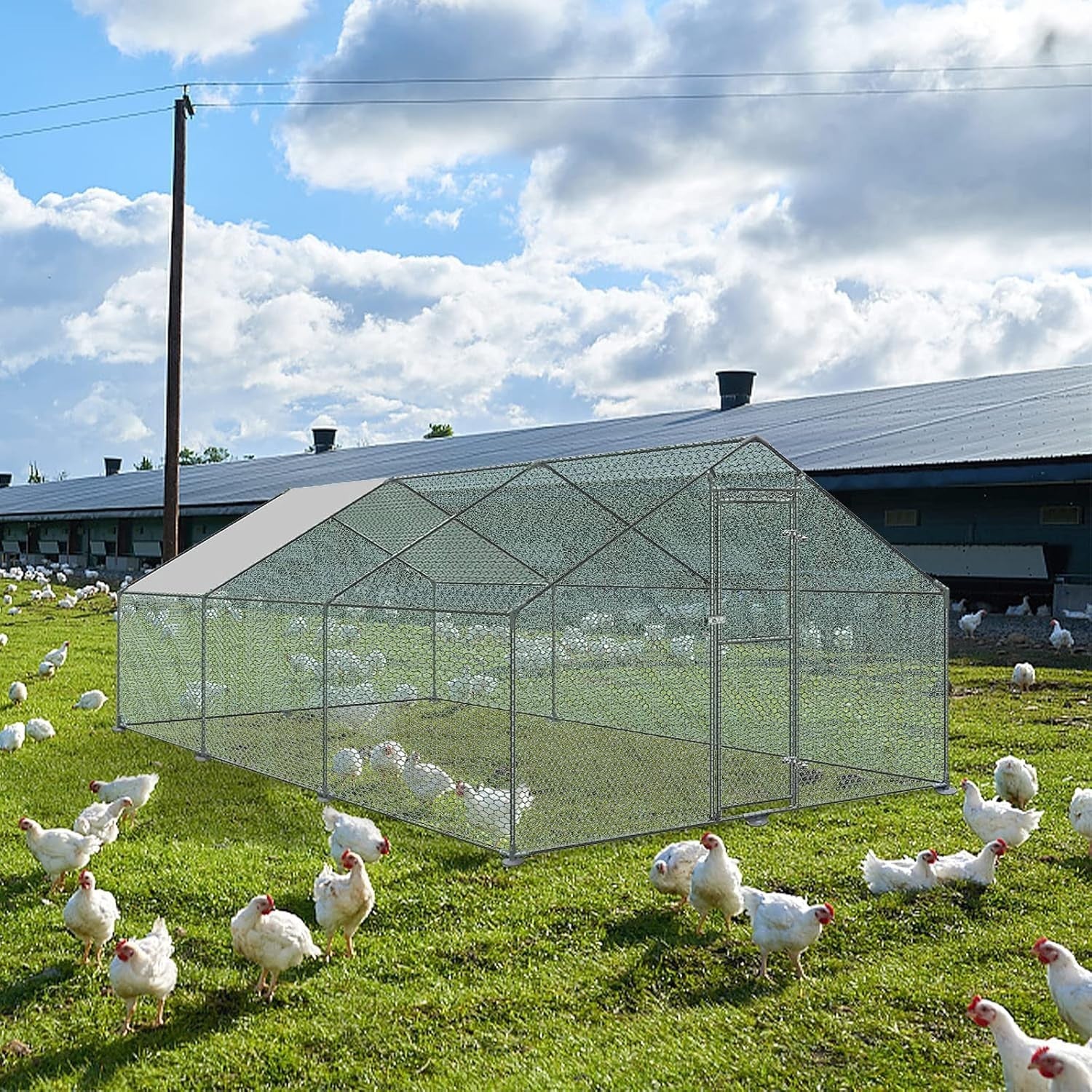 Extra Large Walk In Chicken Run Galvanised Steel Outdoor Enclosure 3x6m