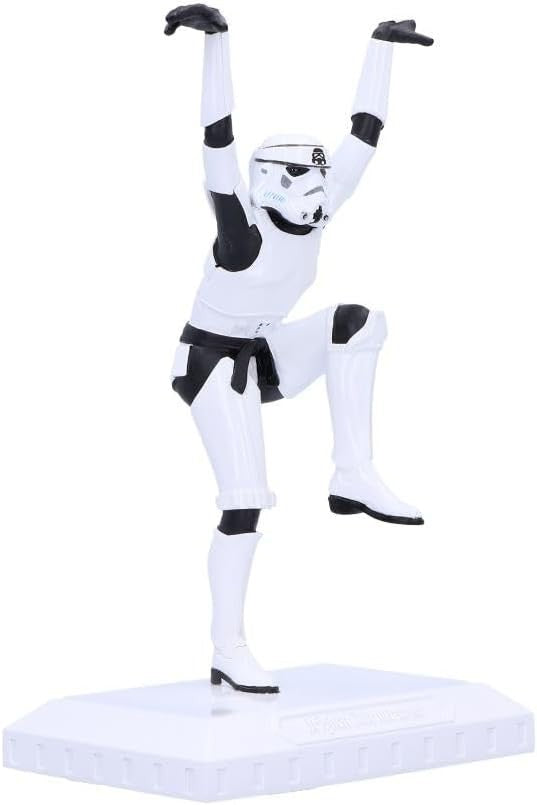 Crane Kick Stormtrooper Figurine Resin Statue 28cm Martial Arts Decor Gift