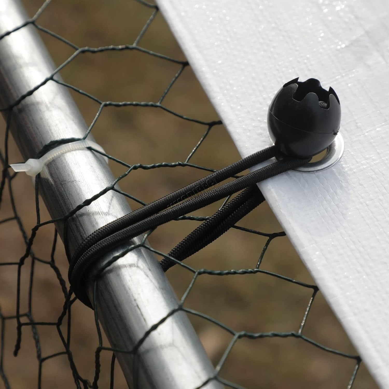 Extra Large Walk In Chicken Run Outdoor Metal Pet Enclosure 4x3x2m
