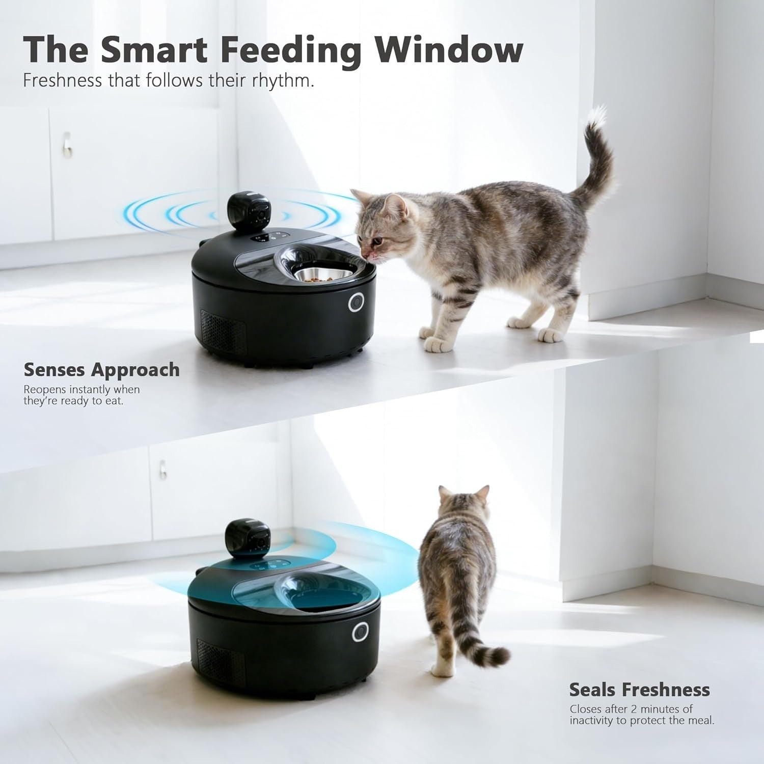 Smart Wet Food Cat Feeder Camera App Control Refrigerated 5 Meal White