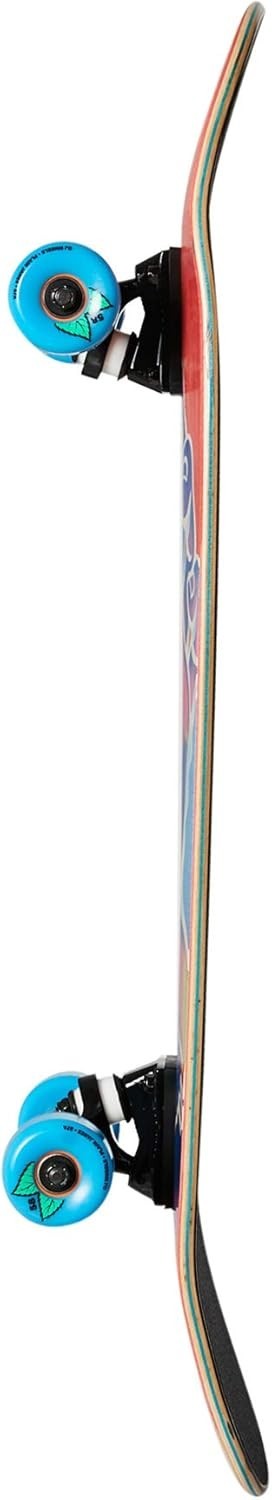 31.7in Cruiser Skateboard Complete for Adults Teens Beginners