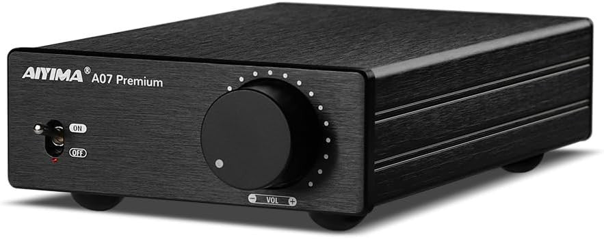 Mini HiFi Stereo Amplifier 2-Channel 300W Class D Compact Audio Amp