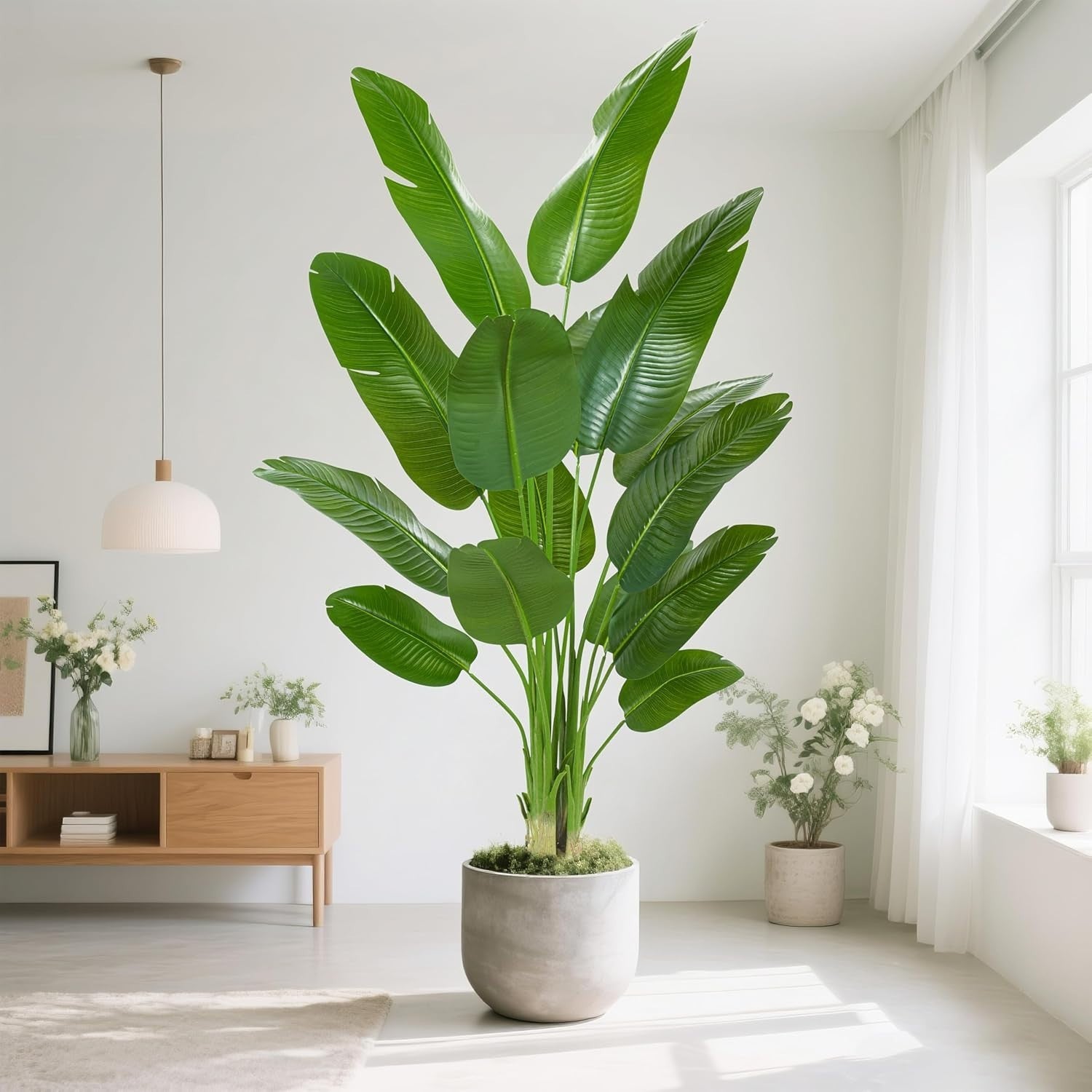 210cm Artificial Bird of Paradise Plant in Weighted Pot Tall Faux Tropical Decor