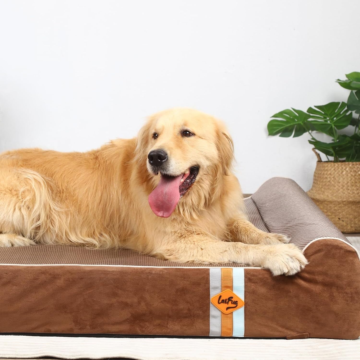 XL Orthopedic Memory Foam Dog Bed 50x36x10in Washable