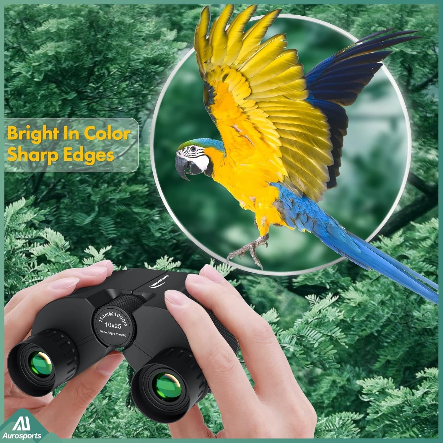 10x25 Compact HD Binoculars Lightweight Easy Focus for Bird Watching Travel Spor