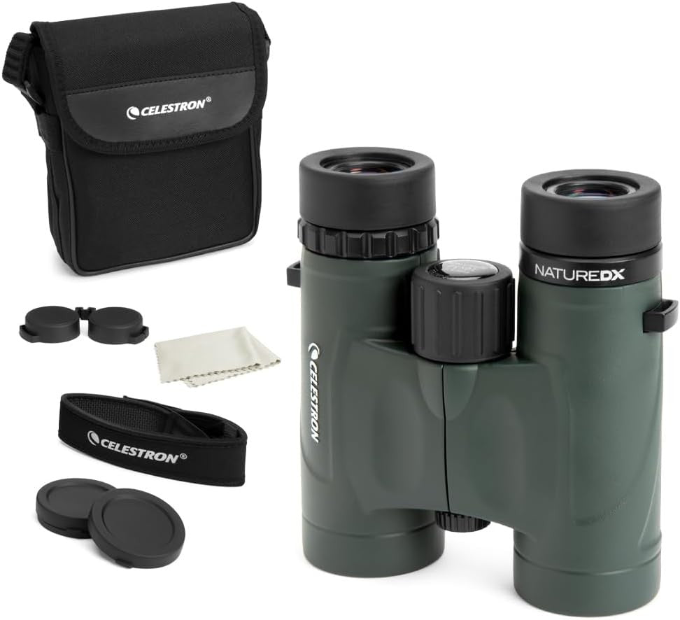 10x32 Waterproof Binoculars HD Compact Birdwatching Travel Outdoor Viewing