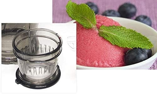 Cold Press Juicer 240W Slow Extractor 1.7L Capacity Metal Body