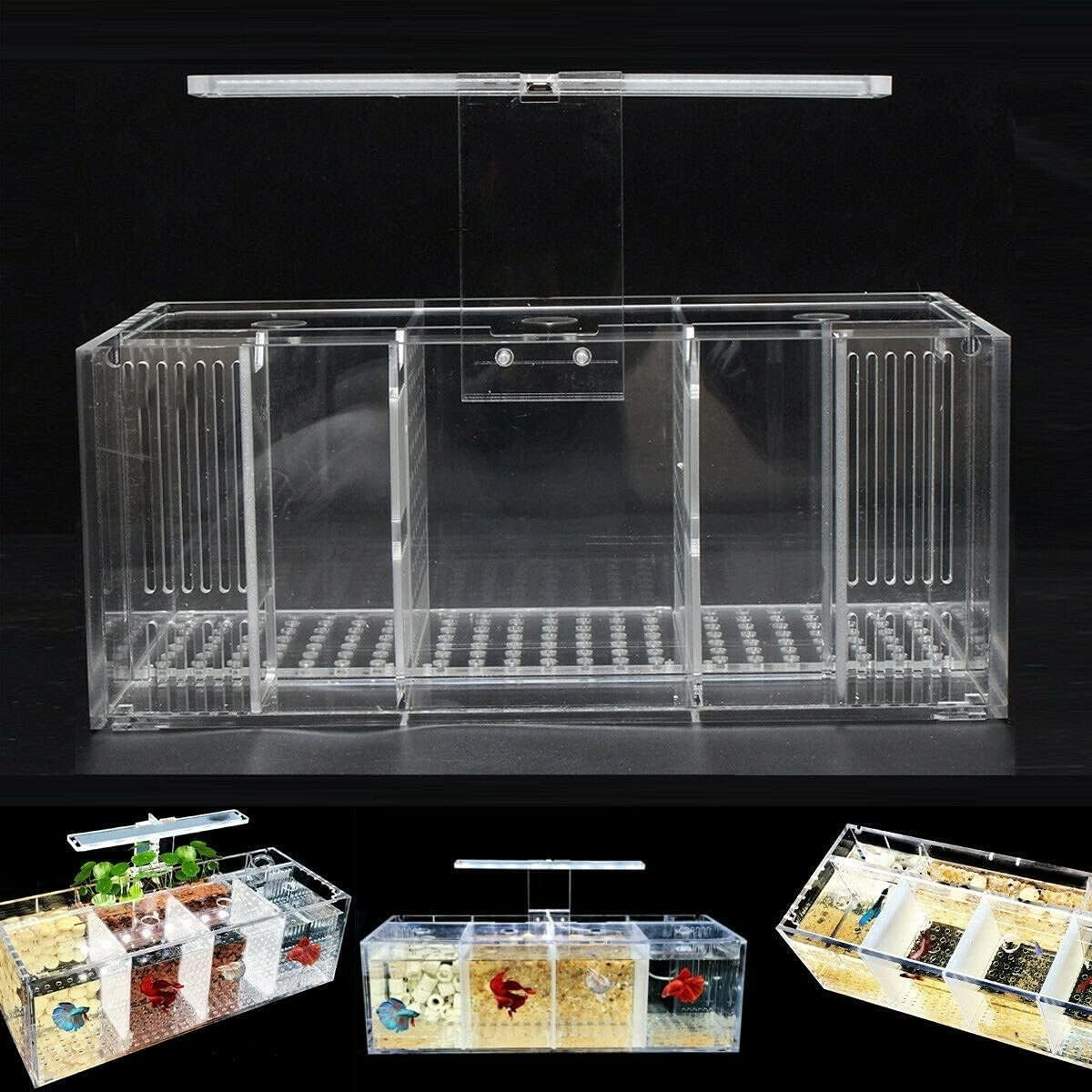 Mini Acrylic Fish Tank with LED Light & Water Pump Desktop Aquarium
