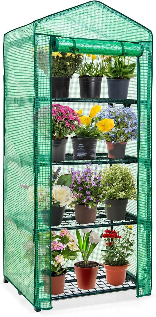 Mini 4-Tier Greenhouse with Shelves 69x49x163cm Green PE Cover Indoor Outdoor
