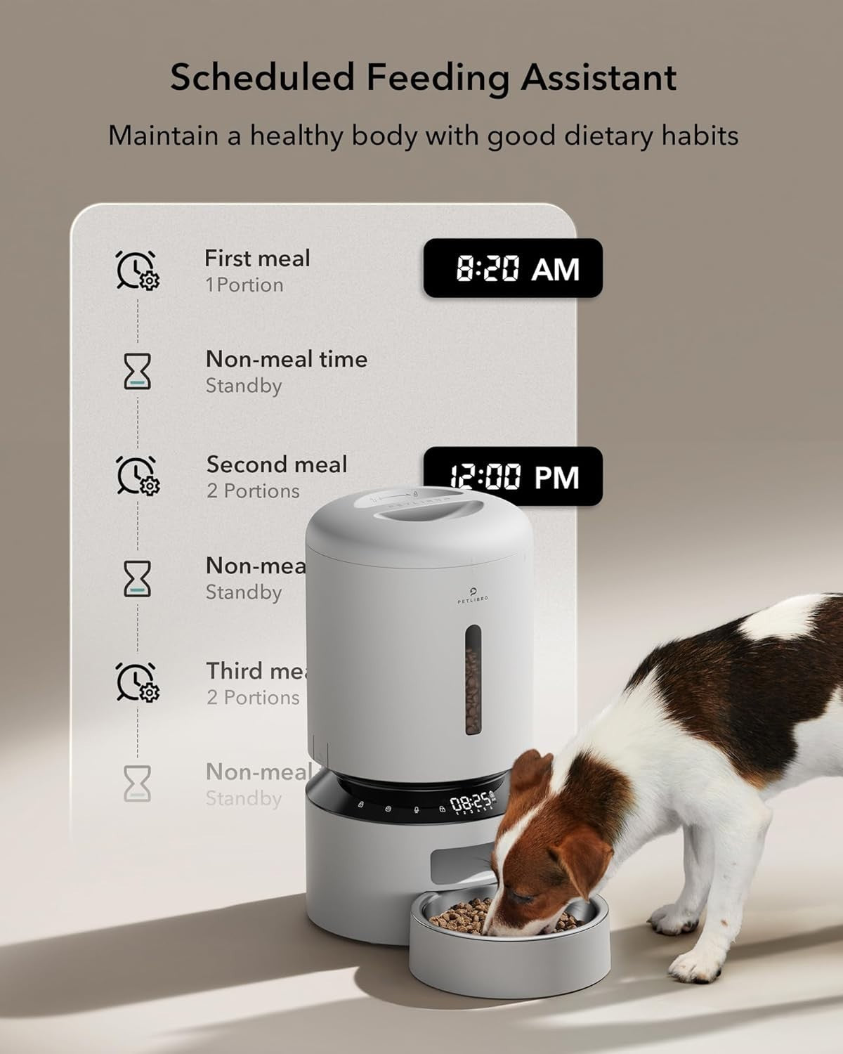 Automatic Pet Feeder 5L Timed Food Dispenser Stainless Steel Bowl