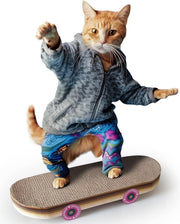 Cat Scratcher Skateboard Cardboard Board Indoor Kitten Toy