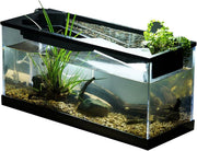 Mini Desktop Fish Tank | Acrylic Aquarium w/ Filter & Silent Pump