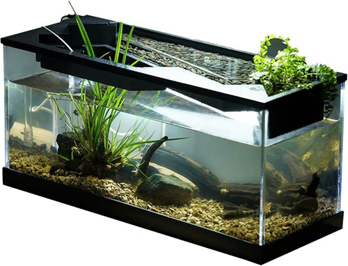 Mini Desktop Fish Tank | Acrylic Aquarium w/ Filter & Silent Pump