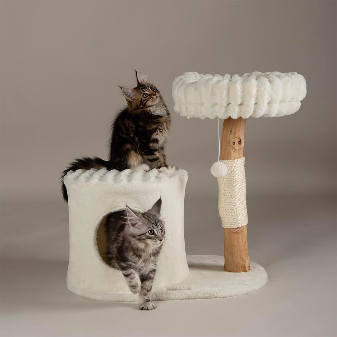 Cat Scratching Tree with Condo Perch Plush Bed Natural Wood Indoor Tower