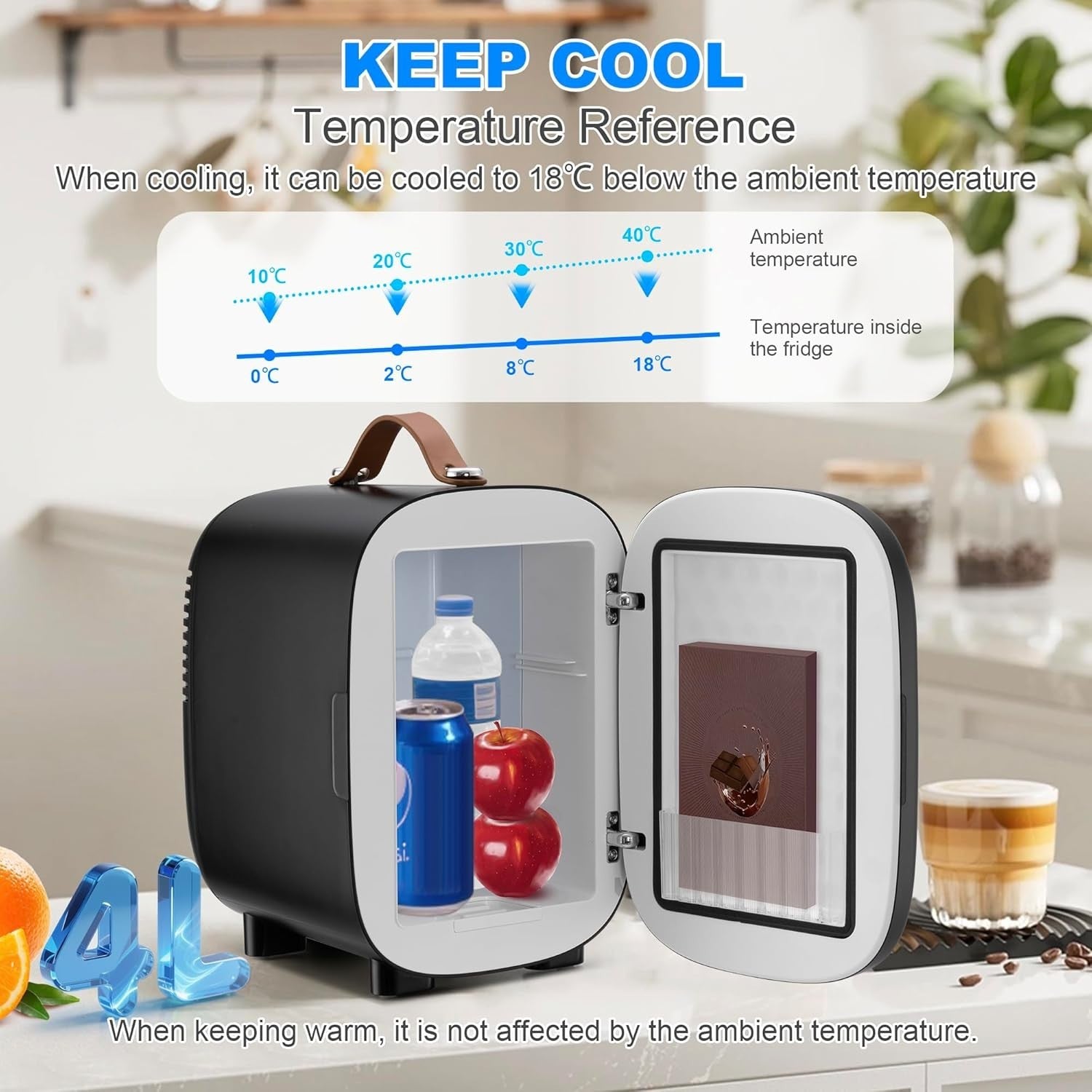 4L Mini Fridge Cooler & Warmer Portable AC 12V Compact Black