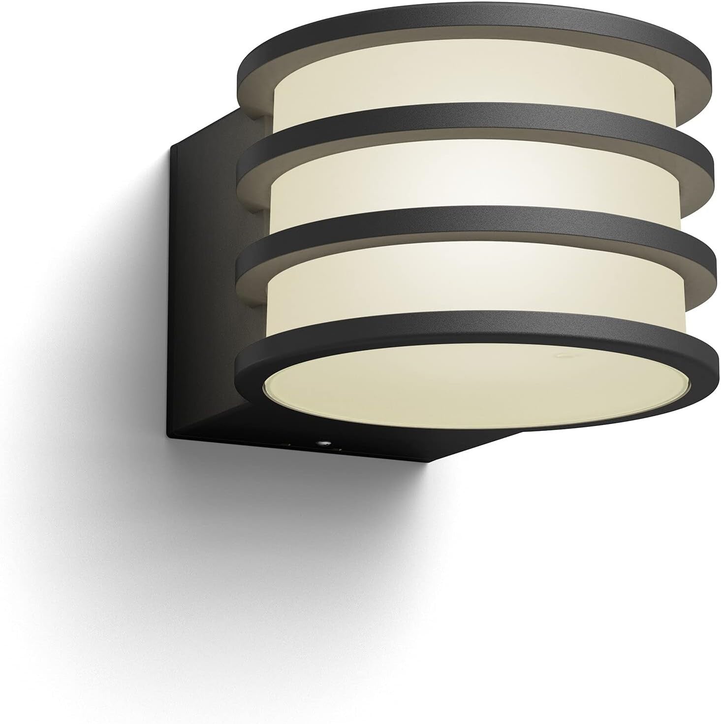 Smart Outdoor LED Wall Light with Voice Control & Motion Mimic