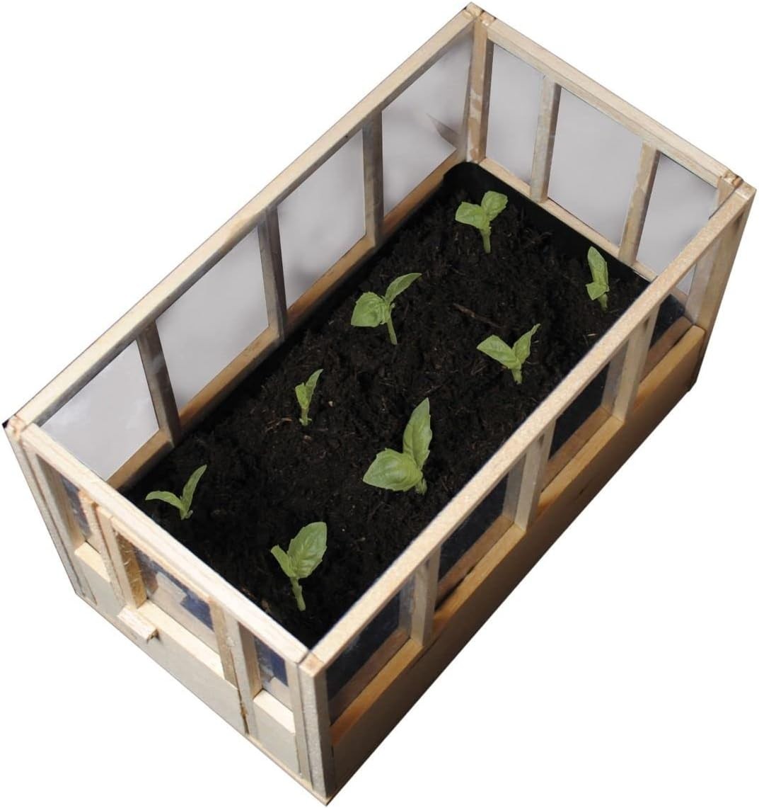 Mini Indoor Greenhouse Wooden Windowsill Herb & Cactus Display Box 21x20x13.5cm