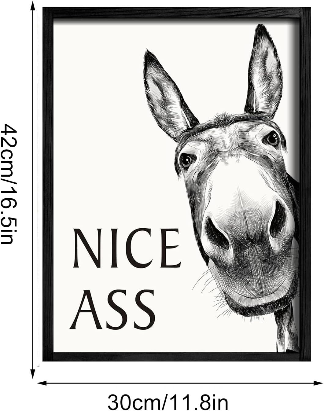 Funny Donkey Canvas Wall Art 12x16 in Black White Animal Quote Decor