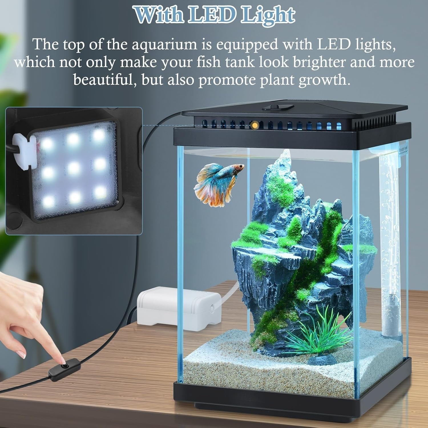 4L Mini Glass Fish Tank Starter Kit Black with LED Light, Air Pump & Accessories