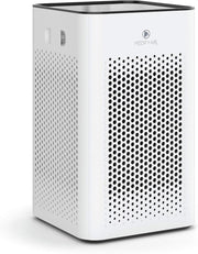H13 HEPA Air Purifier 500 Sq Ft Dual Intake 99.9% Removal Quiet Home Office