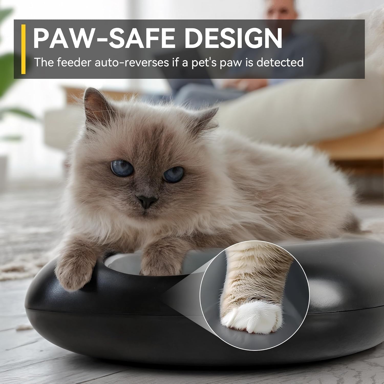 Automatic Cat Feeder Wet Dry Food Timer 6 Meal Rechargeable Ice Pack